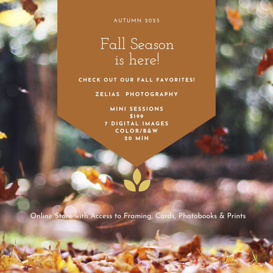 2025 Autumn Mini Sessions