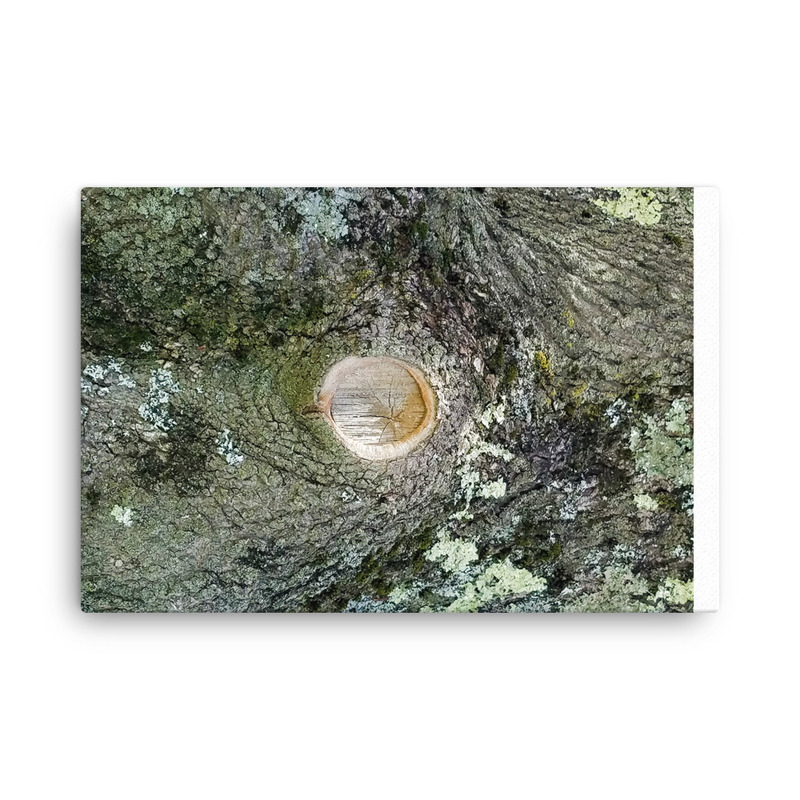 Tree Trunk Knot Textured, Canvas, Photo Nature Canvas